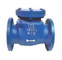 ASHOK Manual CS Check Valves 100 mm_0