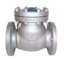 SS Check Valves 25 mm_0