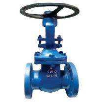 ASHOK Manual CS Gate Valves 25 mm 320 psi_0