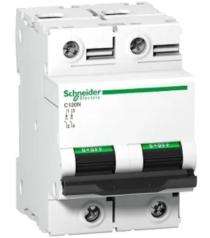 Schneider Electric Double Pole 16 A C MCB_0