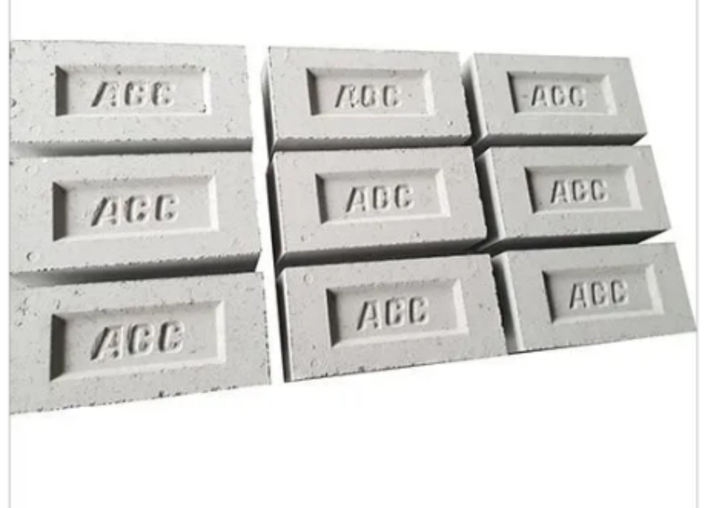 Fly Ash Bricks_0