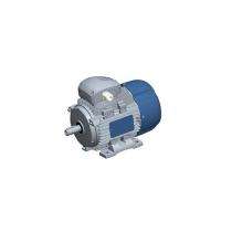 Rotomotive 132MA-2 3000 rpm Three Phase 12.5 hp Double Pole Flange Mounted AC Motors_0