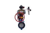 40 - 300 mm Actuator CI Butterfly Valves Insertion between Flanges_0