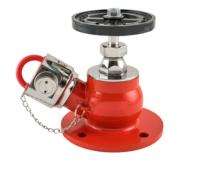 ASIA HARDWARE AAAG M194B CI Single Outlet Fire Hydrant System_0
