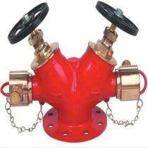 ASIA HARDWARE AAAG M194B CI Double Outlet Fire Hydrant System_0