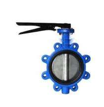 HRISHI 40 mm Actuator CI Butterfly Valves Insertion between Flanges PN 10_0
