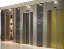 DYNAMIC LIFTS Machine Room Less Passenger Lift PL-05 1200 kg 0.666 m/s_0
