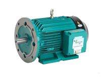 Crompton 2900 rpm Three Phase 20 hp Double Pole Foot Mounted AC Motors_0