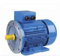 Three Phase 1 hp Double Pole Foot Mounted AC Motors_0