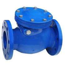 SHREEJI Manual CI Non Return Valves DN 100 mm Double Flanged 6CL3M00XX000000_0