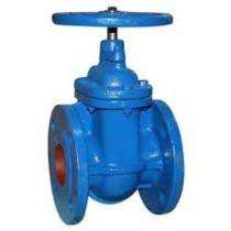 SHREEJI Manual CI Gate Valves DN 100 mm_0