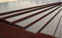 12 mm Coated Shuttering Plywood 8 x 4 ft_0