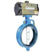 Aira 100 mm Pneumatic Cast Iron Butterfly Valve ECG_0