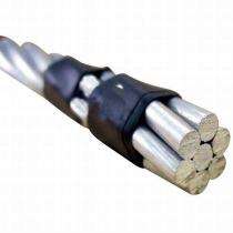 YASH ELECTRICALS 34 sqmm Gnat AAC Conductor_0