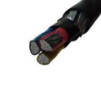 ALLCAB Aluminium XLPE Flat Steel Strip FRLS PVC LT Power Cables 3 Core 35 sqmm 1.1 kV_0