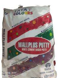 TATA Wall Putty 30 kg_0