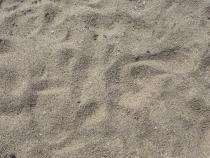 Partap Construction Karnal Zone-II River Sand_0