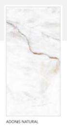 EXXARO Adonis Natural 600 x 1200 mm Beige High Glossy Flat Glaze Vitrified Tile_0