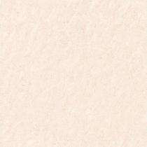 OASIS Oriental Rosa 600 x 600 mm Light Pink Glossy Double Charged Tile_0