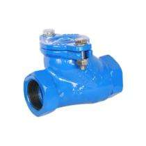 Manual DI Non Return Valves DN 50 mm PN 16_0