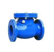 Swing DI Non Return Valves DN 65 mm PN 10_0