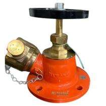 NewAge Gun Metal Flanged Hydrant Valves_0