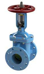 NEO Manual CI Gate Valves 100 mm_0
