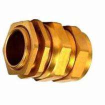 CBW01SS Single Compression Cable Gland M20_0
