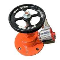 NewAge Stainless Steel Oblique Flanged Hydrant Valves_0