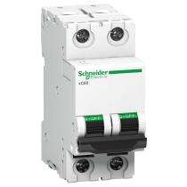 Schneider Electric Double Pole 2 A C MCB_0
