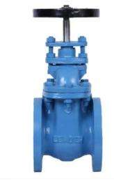 Leader DN 25 mm Manual Cast Iron Gate Valves Socket Welded_0