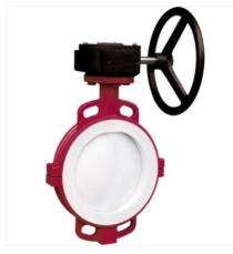 Flow Line 300 mm Manual Cast Iron Butterfly Valve B1_0