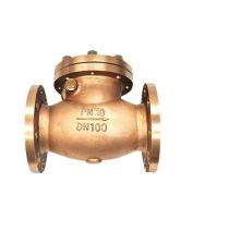 Delval Bronze Check Valves 15 mm_0