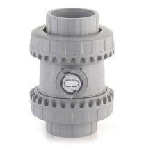 FIP DN 65 mm Actuator CPVC Check Valves Threaded_0