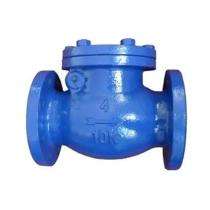 LEVCON Manual CI Check Valves 50 mm Flanged_0