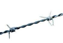 BHARAT GI Barbed Wires 8 SWG_0