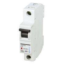INDOASIAN 811122 Single Pole 63 A C MCB_0