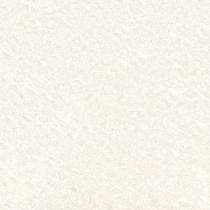 SEGA Adex White 1000 x 1000 mm White High Glossy Double Charged Vitrified Tile_0