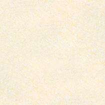 SEGA Adex Crema 1000 x 1000 mm Crema High Glossy Double Charged Vitrified Tile_0