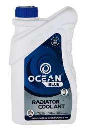 Engine Coolant 1 L_0
