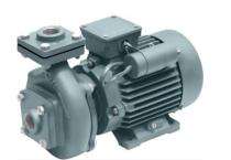 5 hp 2800 rpm Monoblock Pumps_0