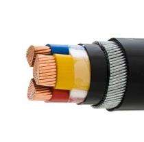 Polycab 3 Core PVC Armoured Control Cables_0