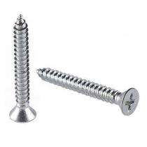 Maa Usha Flat M3 10 mm Self Tapping Screws Aluminium Polished_0