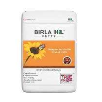Birla HIL Water Resistant Wall Putty 40 kg_0