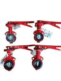 Bray Controls 200 mm Actuator CI Butterfly Valves Wafer PN 10 S30_0