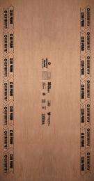 CENTURYPLY 12 mm Waterproof Plywood 2440 x 1220 mm_0
