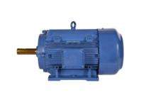 Bharat Bijlee 2H063233AT000 2800 rpm Three Phase 0.34 hp Double Pole Foot Mounted AC Motors_0