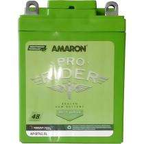 2.5 Ah 10 V Lithium Ion Batteries_0