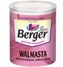 Berger Absinthe Touch Exterior Emulsion Paints 10 L_0