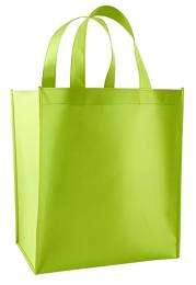 Non Woven Plain Packaging Bag_0